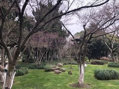 -中共上海市委党校 上海行政学院