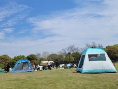 -上海吴淞炮台湾国家湿地公园