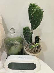 -VE小颜皮肤管理&科学美肤中心