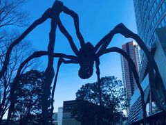 -六本木新城展望台(东京城市景观)