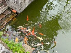 -苏州文庙(姑苏区)