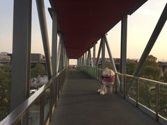 -新田360广场(上海华侨城店)