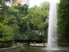 -九龙公园