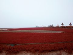 -红海滩国家风景廊道