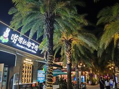 -三亚海昌梦幻海洋不夜城