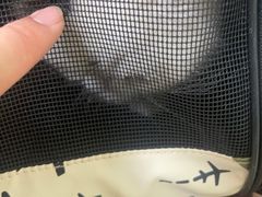 -宠福鑫动物医院(城北分院)