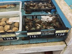 -莆鑫海鲜城(浏河店)