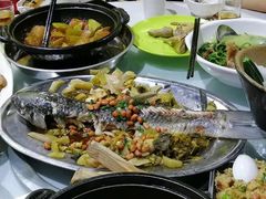 -石岐乳鸽村(南海第三分店)
