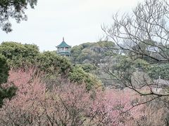-无锡梅园公园