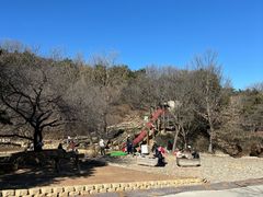 -北京西山国家森林公园