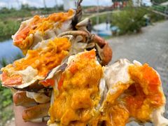 -阳澄湖半岛旅游度假区