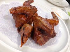 中山妙龄乳鸽-十二粤味·顺德菜·烧鹅点心(五四广场店)