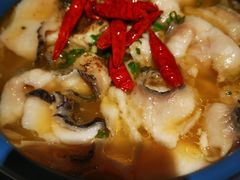 -Aqua Oasis 水天堂(相城天虹商场店)
