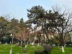 -浙江西子宾馆·牡丹厅
