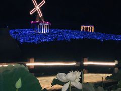 -大塘金香草谷