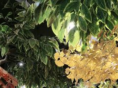 -城墙拐拐火锅(三峡广场黑金冠店)
