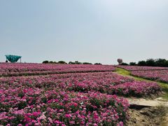 -歌斐颂巧克力小镇