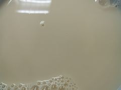 甜豆浆（热）-日月永和中国餐饮名店(凤凰店)