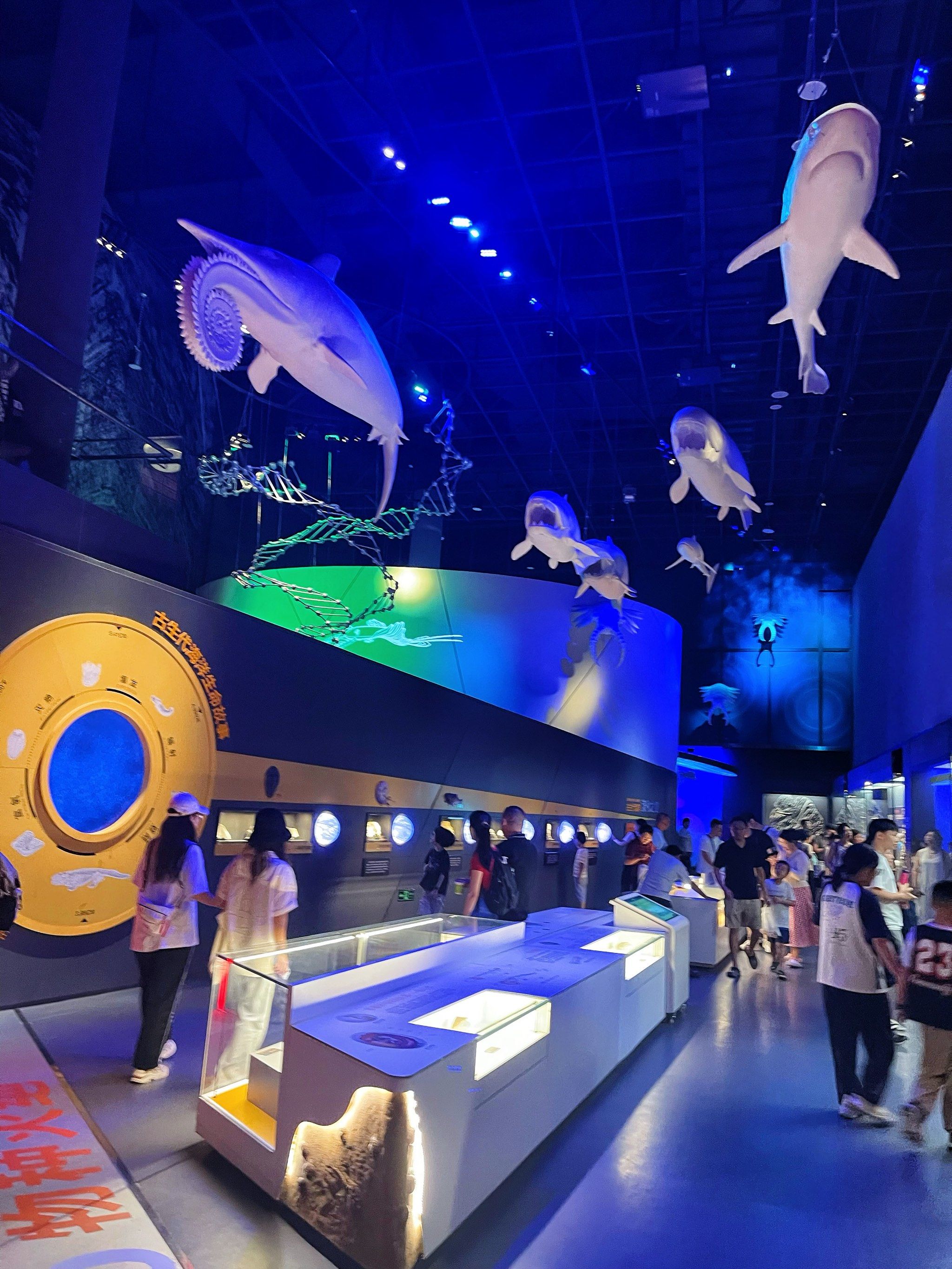 天津溜娃|海上故宫·天津国家海洋博物馆98
