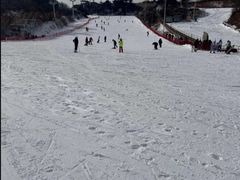 -蓟洲国际滑雪场