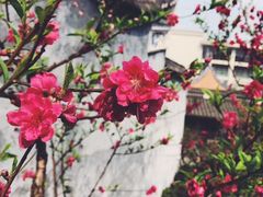 -乌山风景区