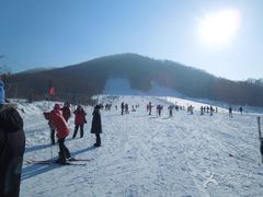 -玉泉威虎山森林公园