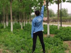 -永定河休闲森林公园