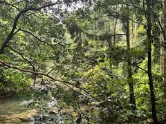-雁荡山风景名胜区