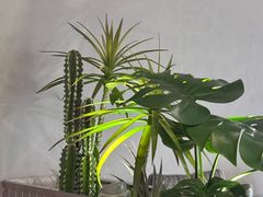 -3号仓库·创意中国菜(乐清正大广场店)