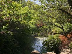 -杭州半山国家森林公园