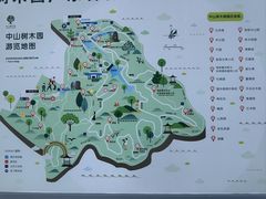 -中山市树木园