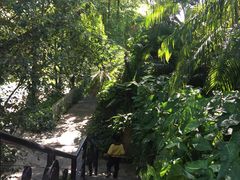 -佛山祈福仙湖酒店