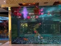 -碧涛阁·泡泡海洋·汤泉洗浴(王府花园店)