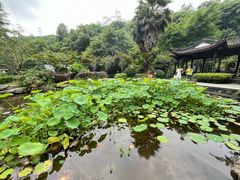 -重庆园博园