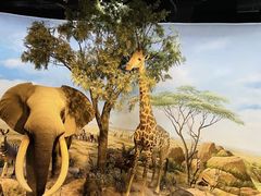 -陕西自然博物馆