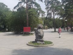 -黑龙江省森林植物园