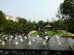 android_upload_pic-昆明洲际酒店