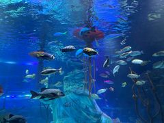 -沈阳海洋探索中心