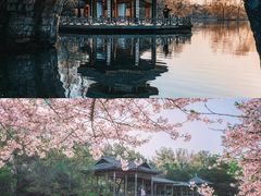 -杭州少年儿童公园