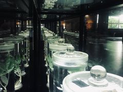 -广东中医药博物馆