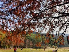 -广州市白云山风景名胜区