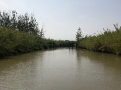 -泗洪洪泽湖湿地景区