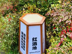 -杭州第一世界大酒店·云曼温泉
