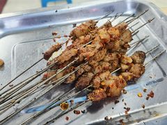 -清真·马峰烤肉(小学习北巷店)