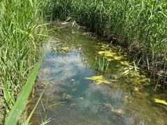 -大兴滨河森林公园