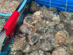 -金海湾海鲜排档(朱家尖店)