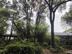 -南山植物园