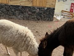 -HERRE·FARM 赫尔露营农场·团建聚会包场