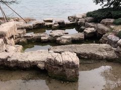 -桐乡凤凰湖