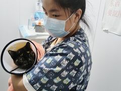 -思琪宠物医院(昆山花桥店)